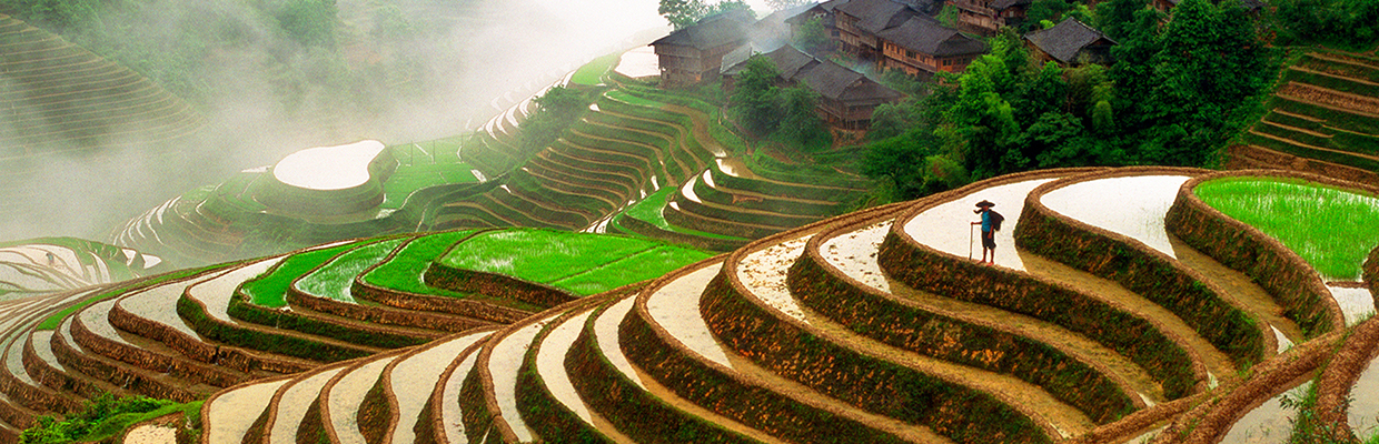A man standing in a terraced field; image used for HSBC Gold Account page.