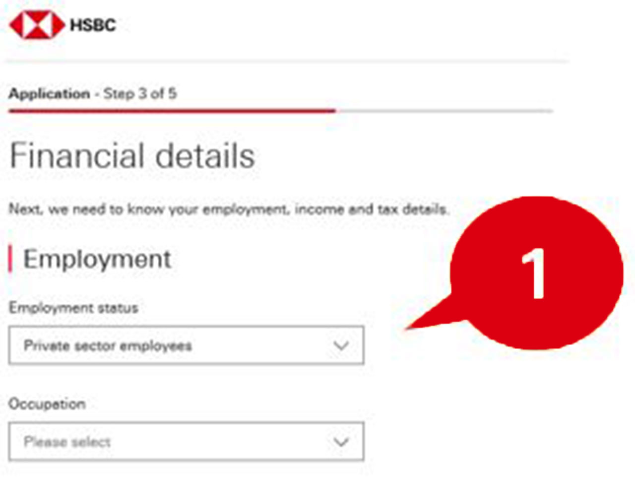 Step 3 of online application form, Financial details